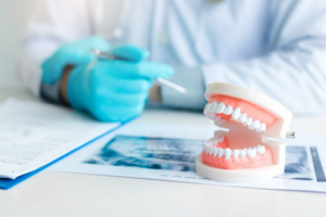 Dentist sitting at desk with a dental model 